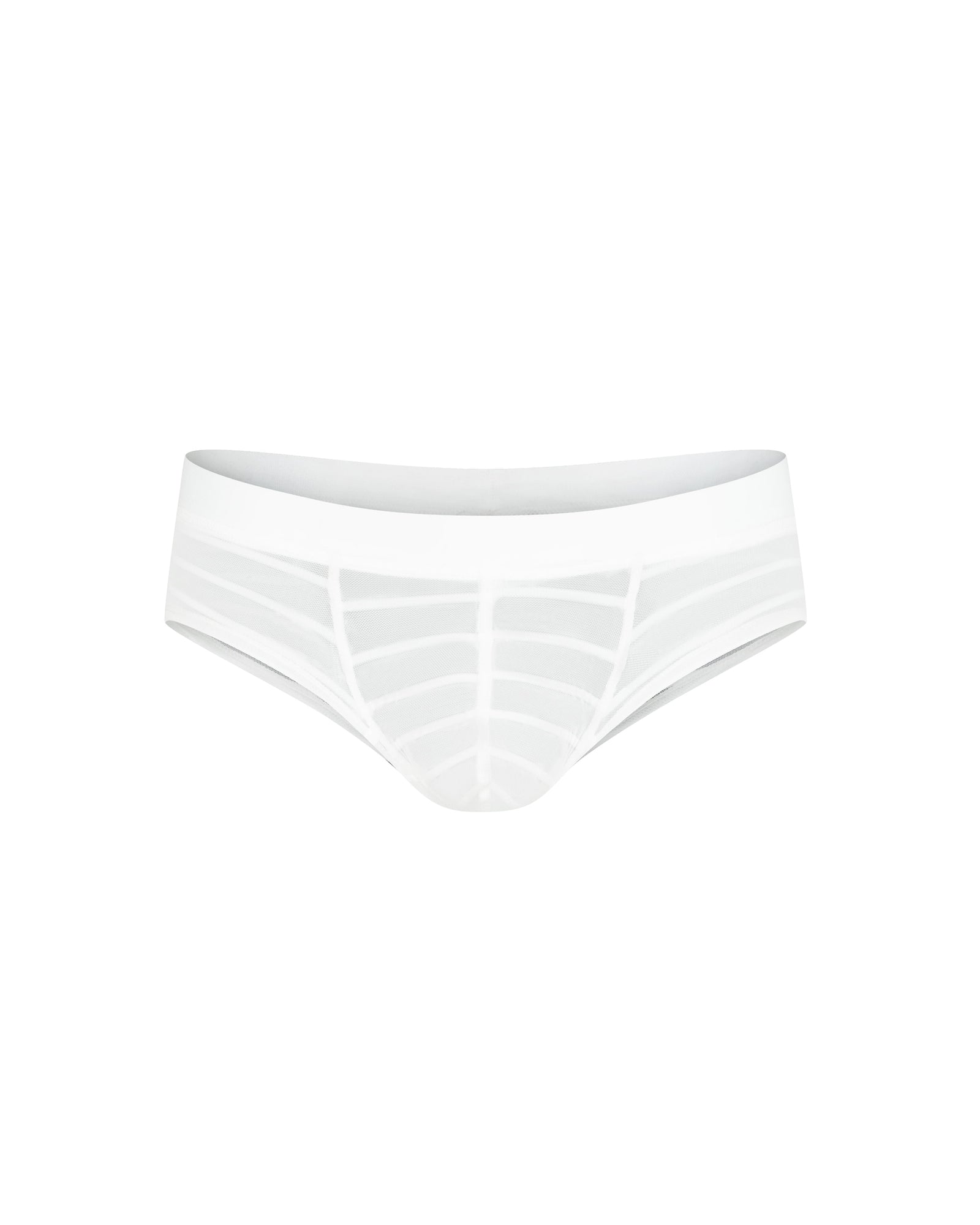 Stretch Sheer Mesh Brief - product view 1
