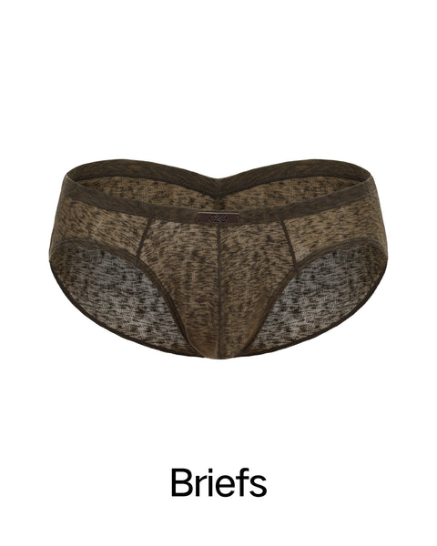 Briefs