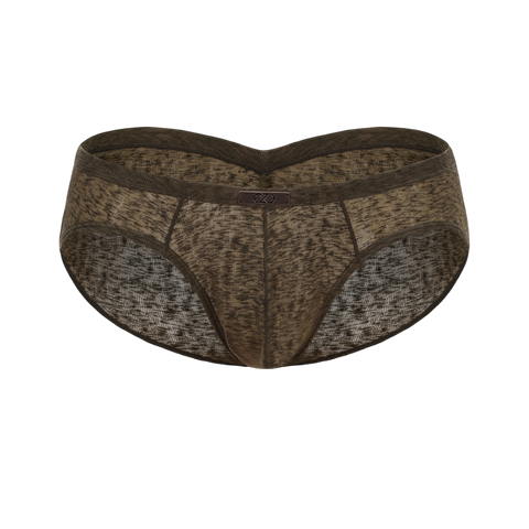Briefs