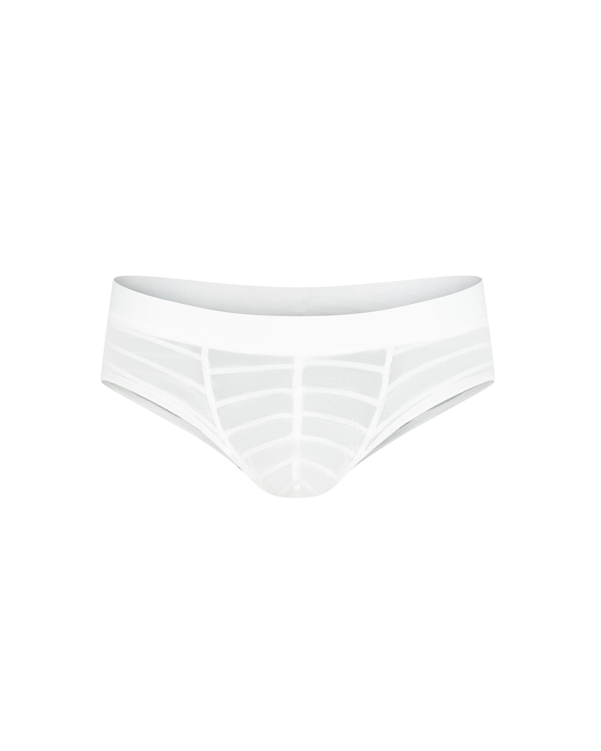 Stretch Sheer Mesh Brief - product view 1
