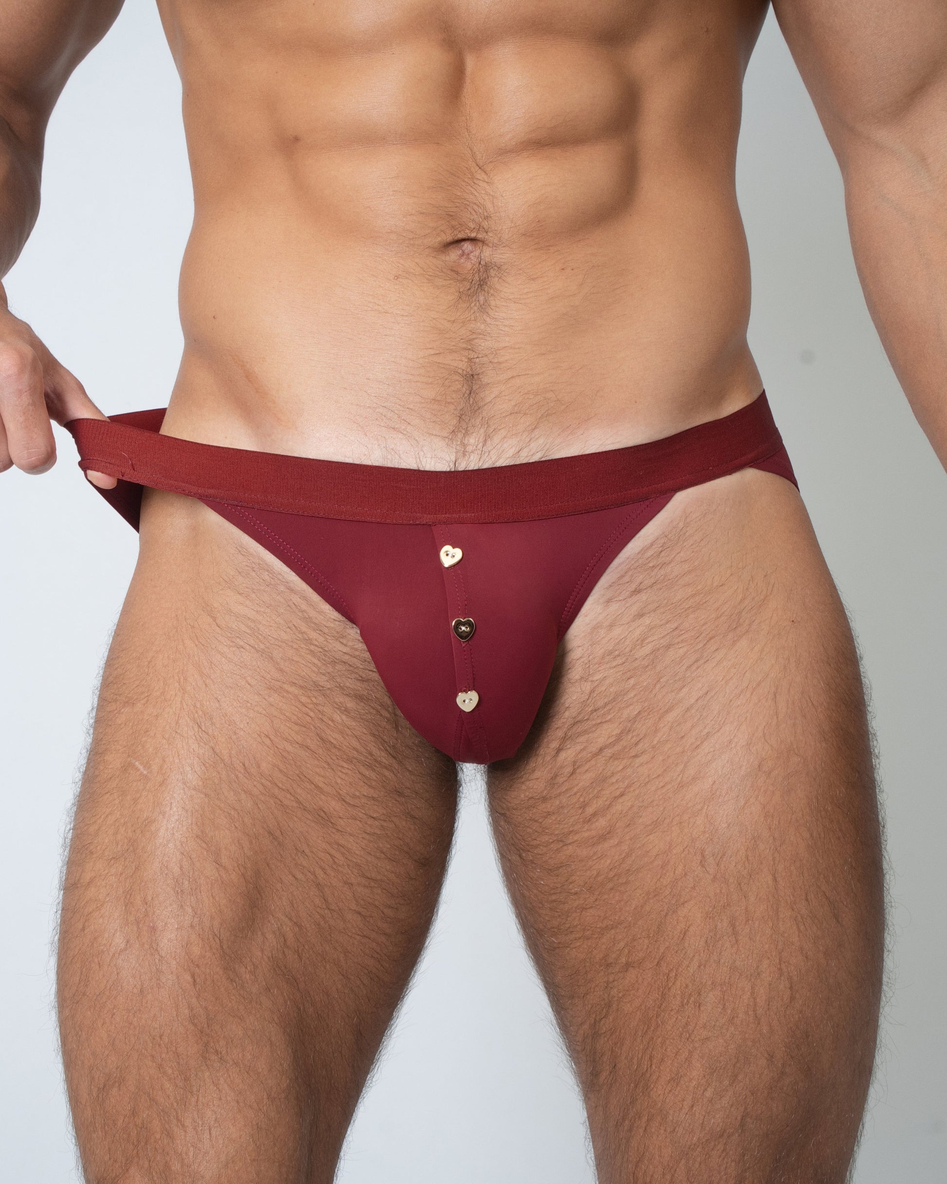 Heart-Hardware Brief - product view 2
