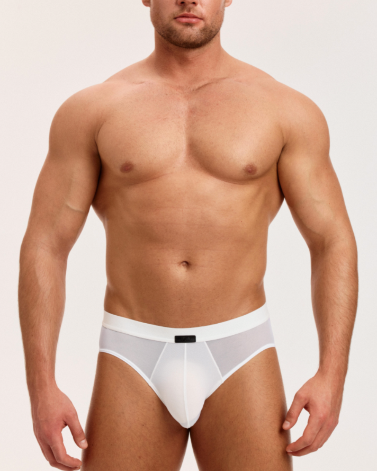 Beast Desire Sheer Mesh Brief - product view 3