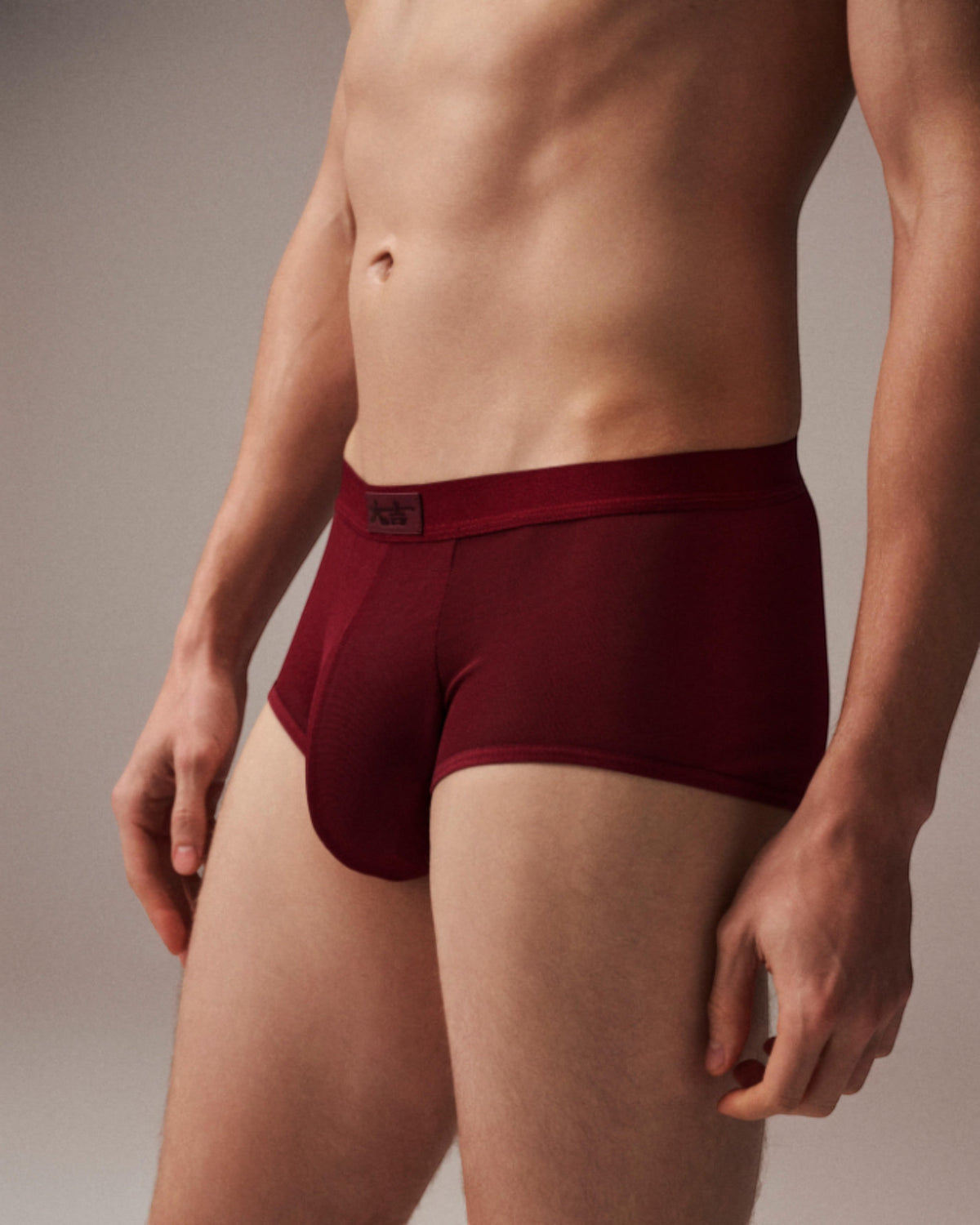 Good Fortune Sheer Mesh Trunk