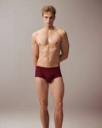 Good Fortune Sheer Mesh Trunk