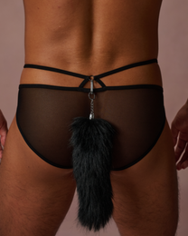 Detachable Tail Lace Brief, alternate product view 5