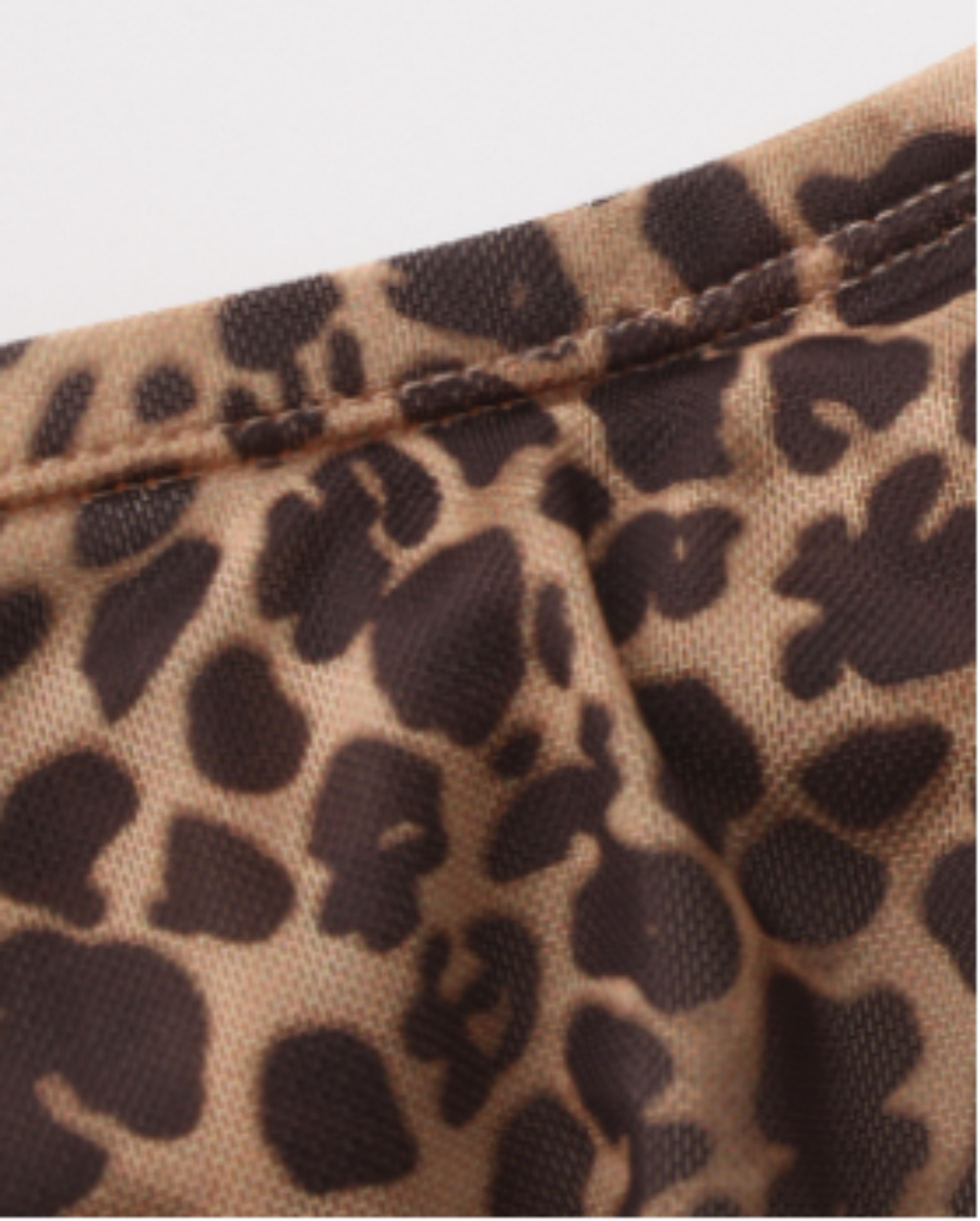 BSZN Animal-Print Cutout Mesh Thong, leopard waistband edge and pouch-seam detail