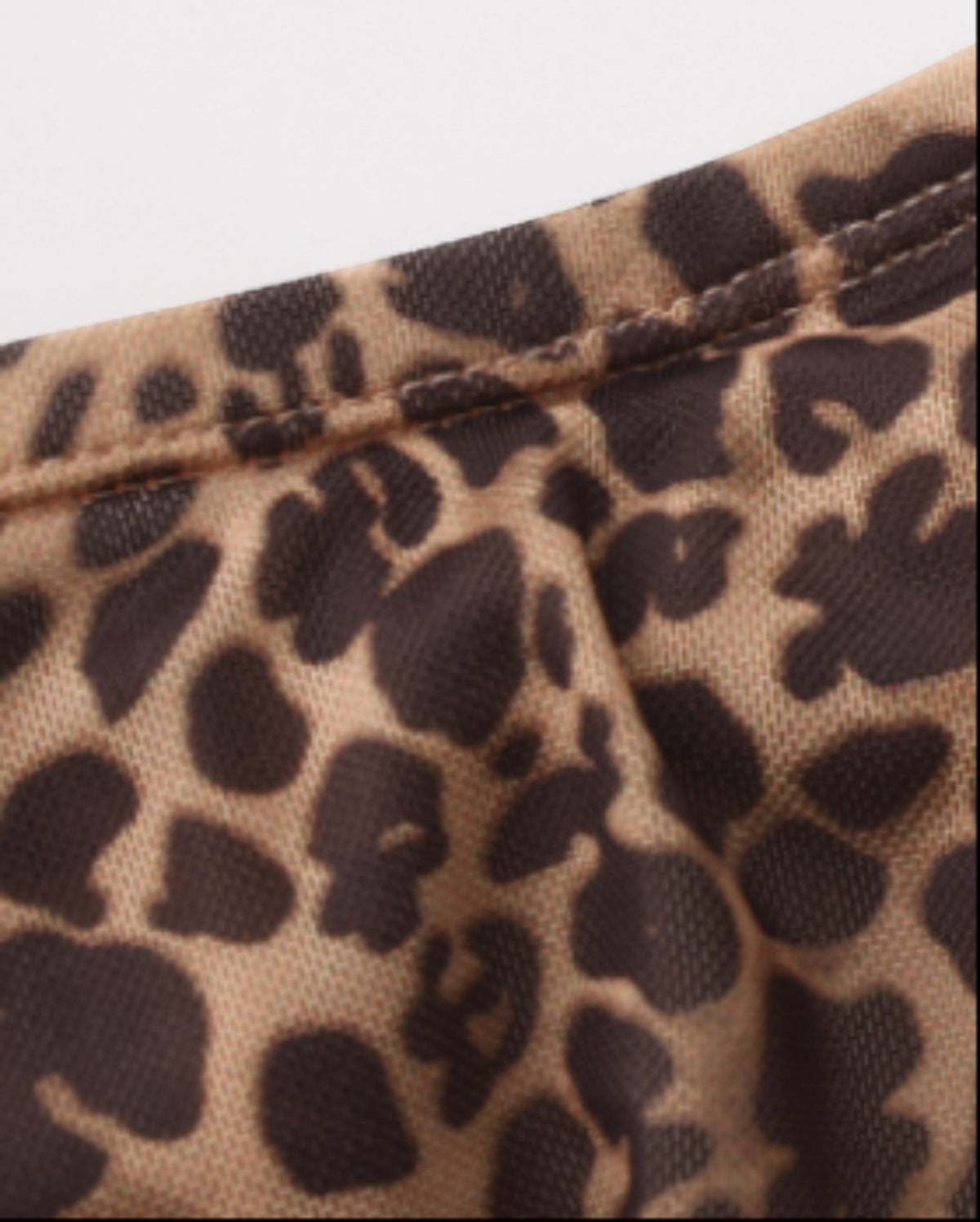 BSZN Animal-Print Cutout Mesh Thong, leopard waistband edge and pouch-seam detail