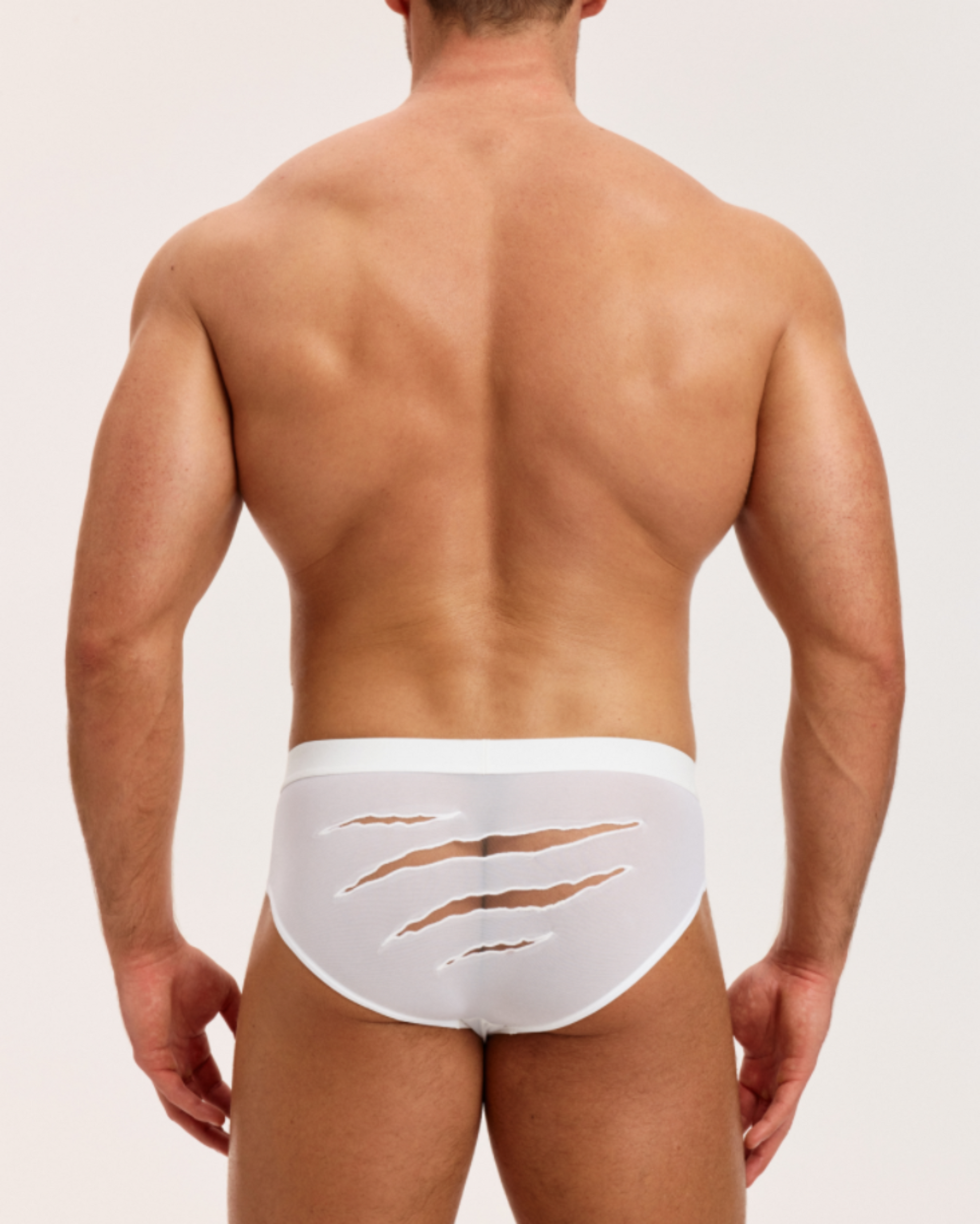 Beast Desire Sheer Mesh Brief - product view 4