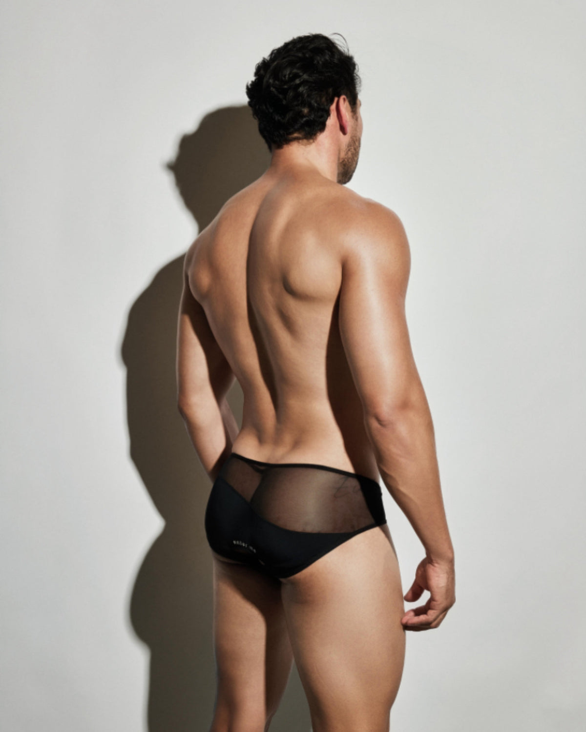 Enter Me Sheer Cutout Brief