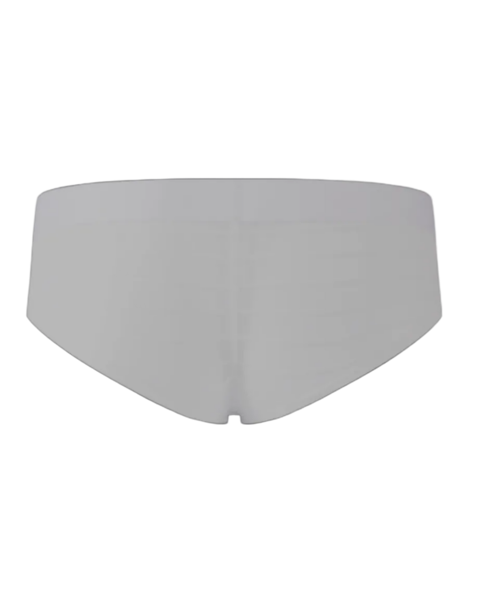 Stretch Sheer Mesh Brief - product view 6