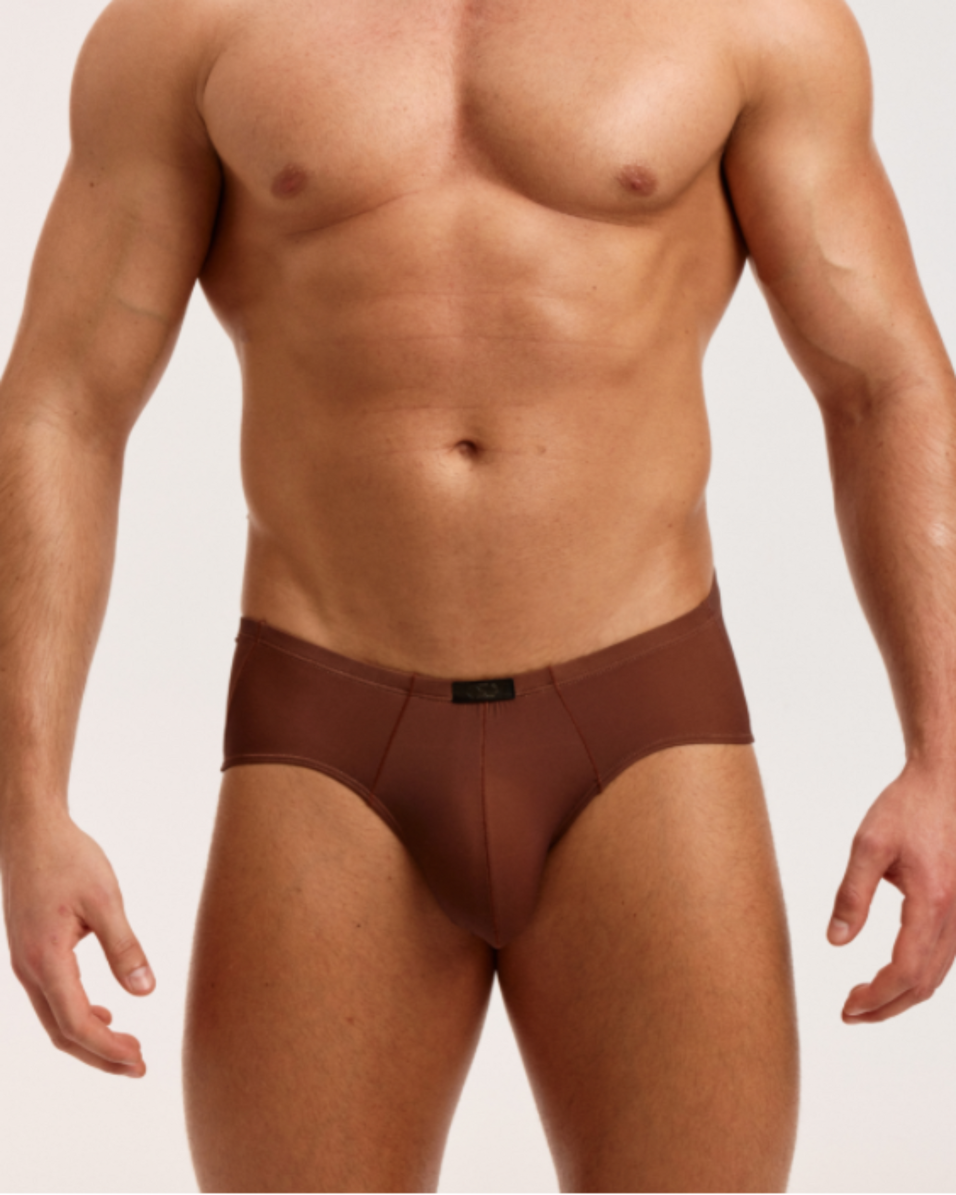 BSZN Sheer V-Waist Ruched-Back Brief, brown colorway on model, front view