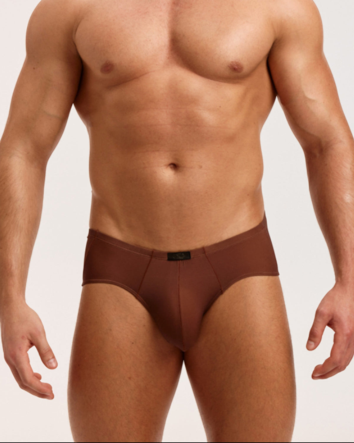 BSZN Sheer V-Waist Ruched-Back Brief, brown colorway on model, front view