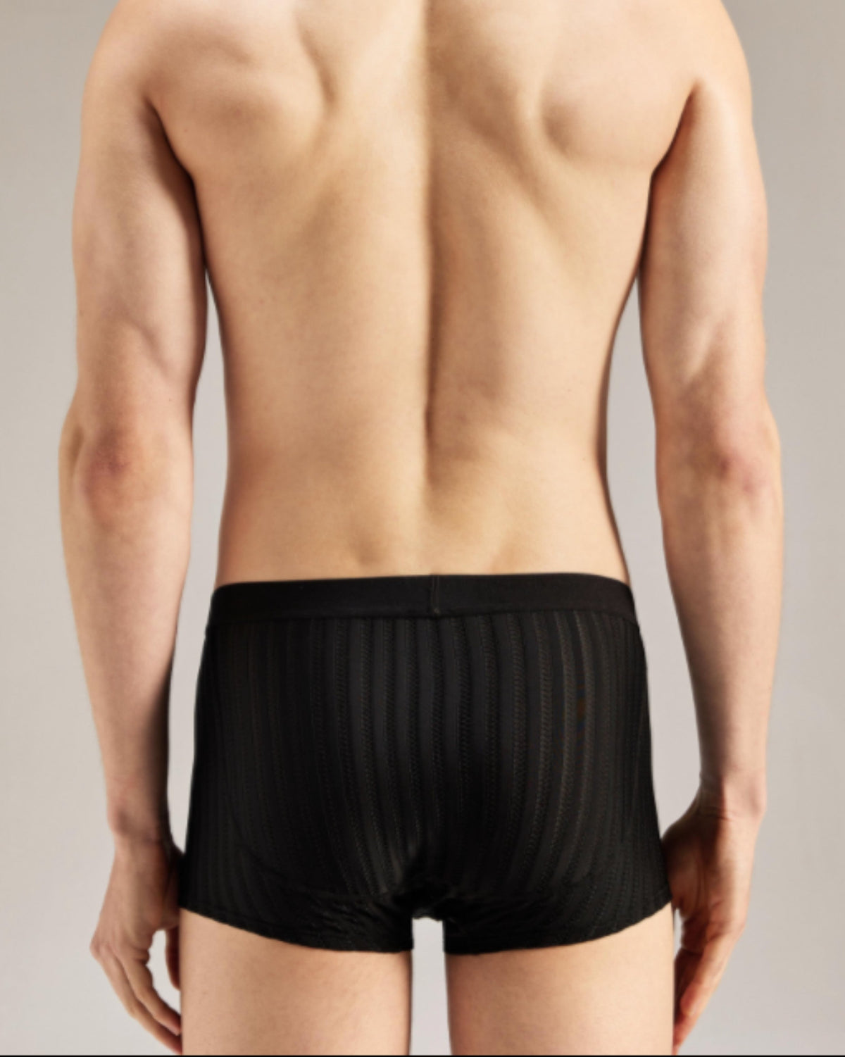 Bold Gentleman Trunk