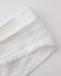 Stretch Sheer Mesh Brief - product view 2