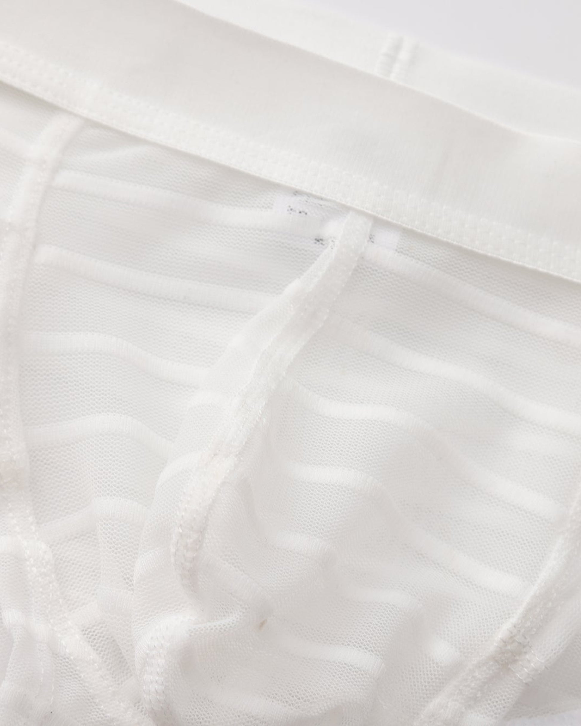 Stretch Sheer Mesh Brief - product view 3