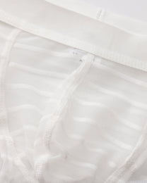Stretch Sheer Mesh Brief - product view 3