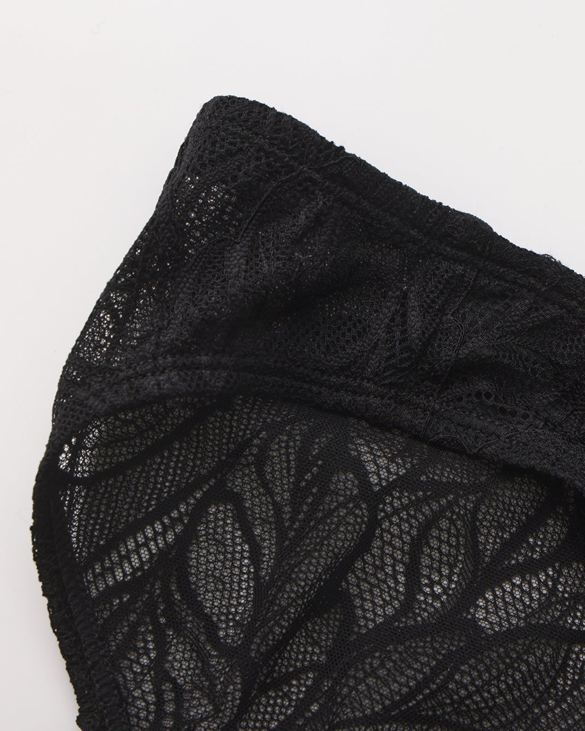Layered Lace Mesh Brief, alternate product view 5