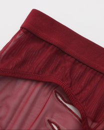 Beast Desire Sheer Mesh Brief - product view 9