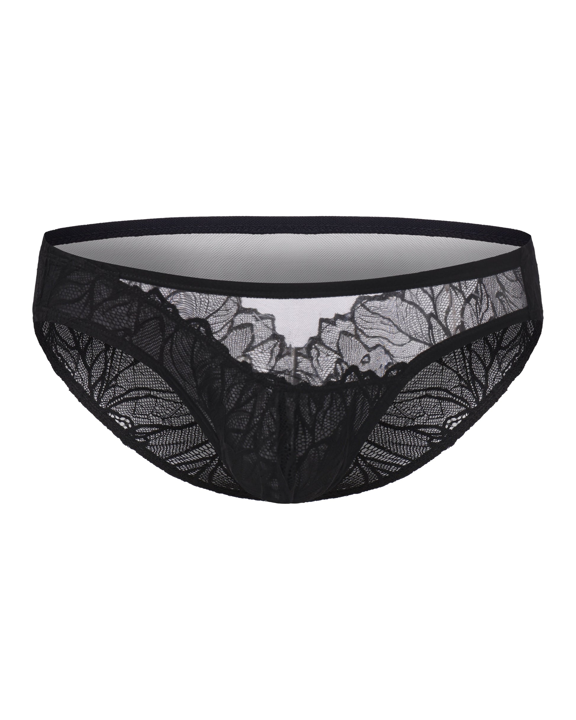 Layered Lace Mesh Brief with layered transparency