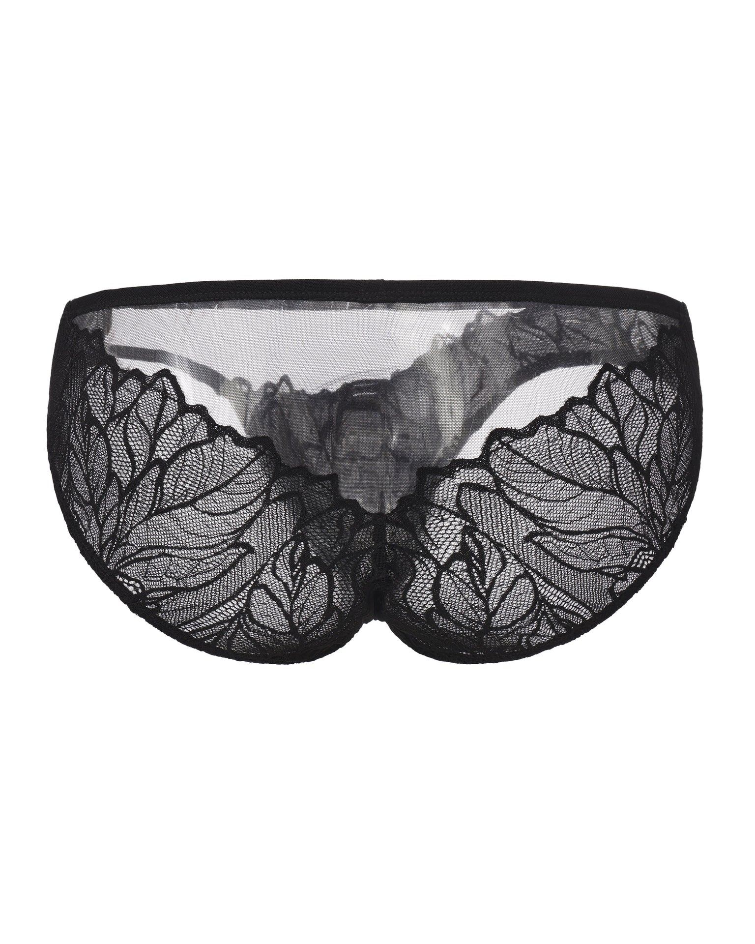 Layered Lace Mesh Brief, alternate product view 2