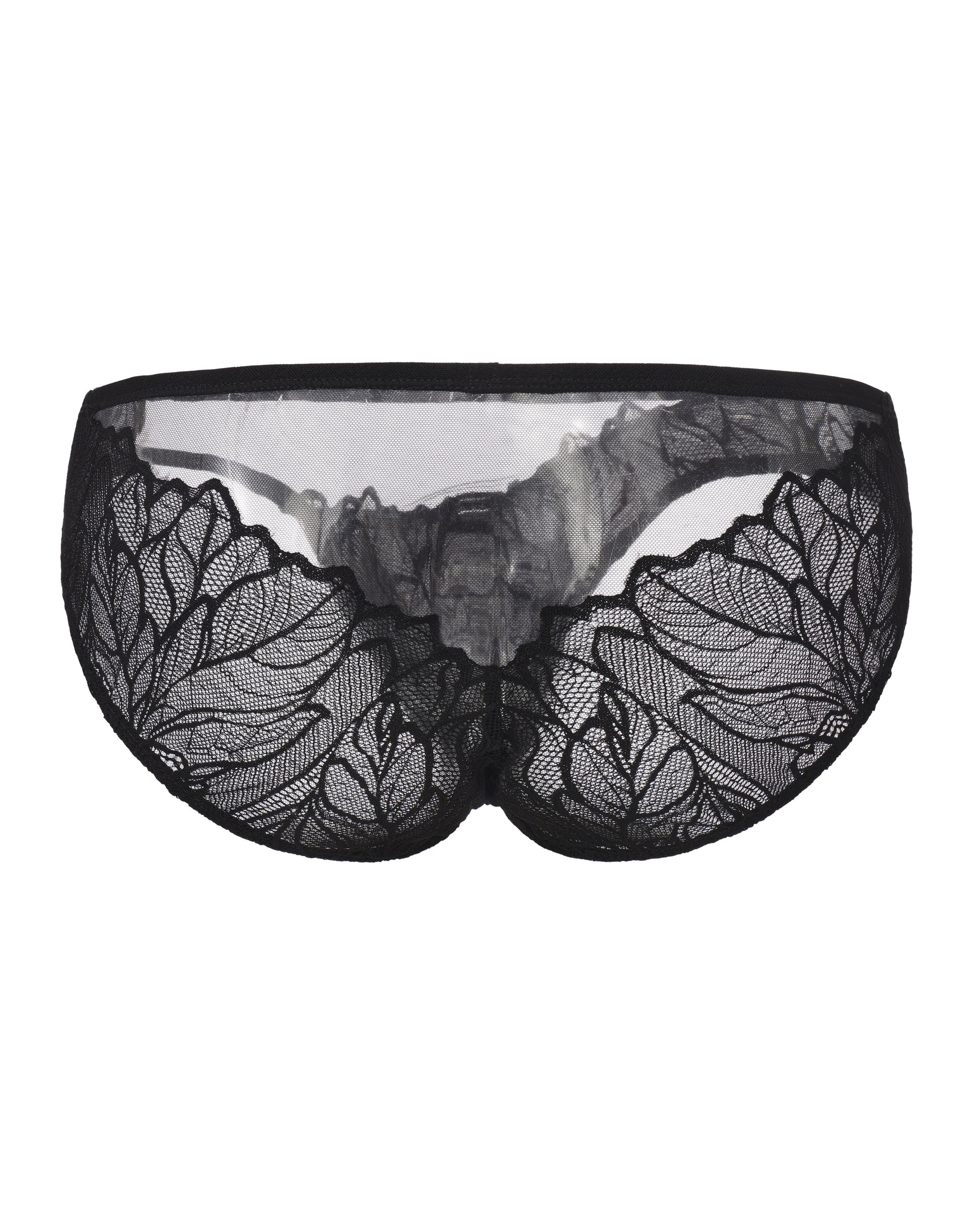 Layered Lace Mesh Brief, alternate product view 2