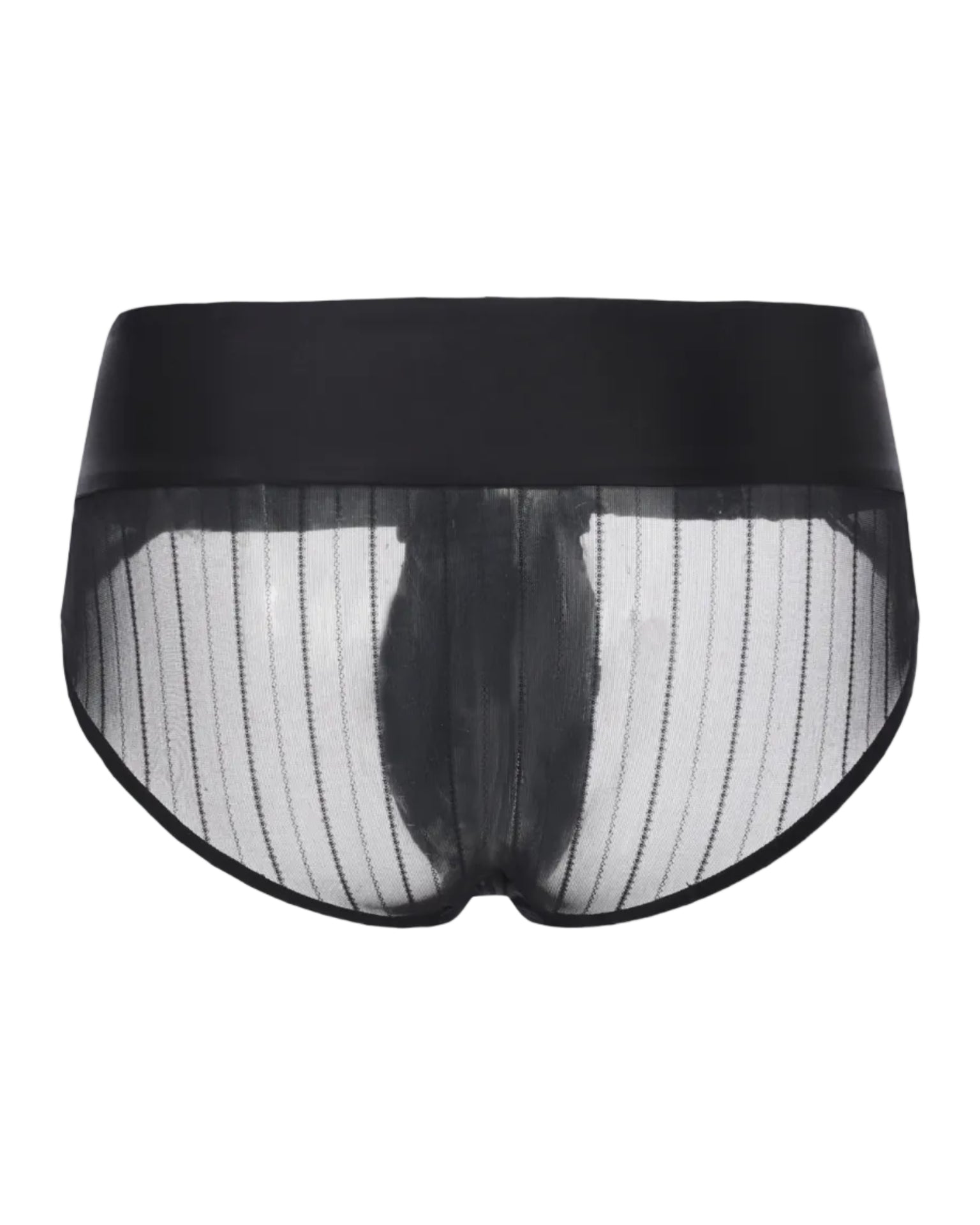 Tie-Front Sheer Brief, alternate product view 2