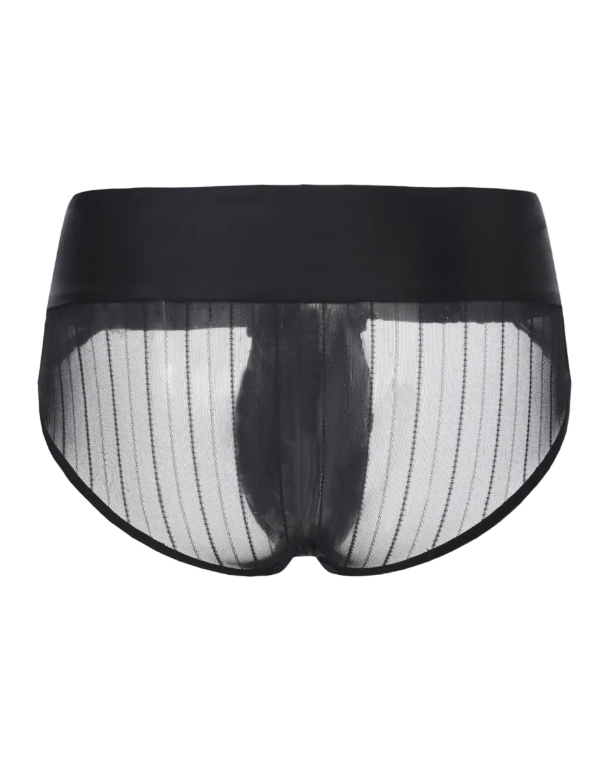 Tie-Front Sheer Brief, alternate product view 2