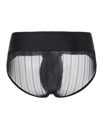 Tie-Front Sheer Brief, alternate product view 2