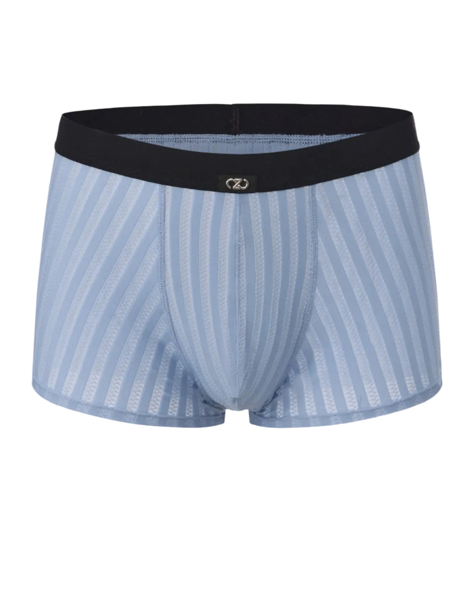 Bold Gentleman Trunk with semi-sheer vertical texture