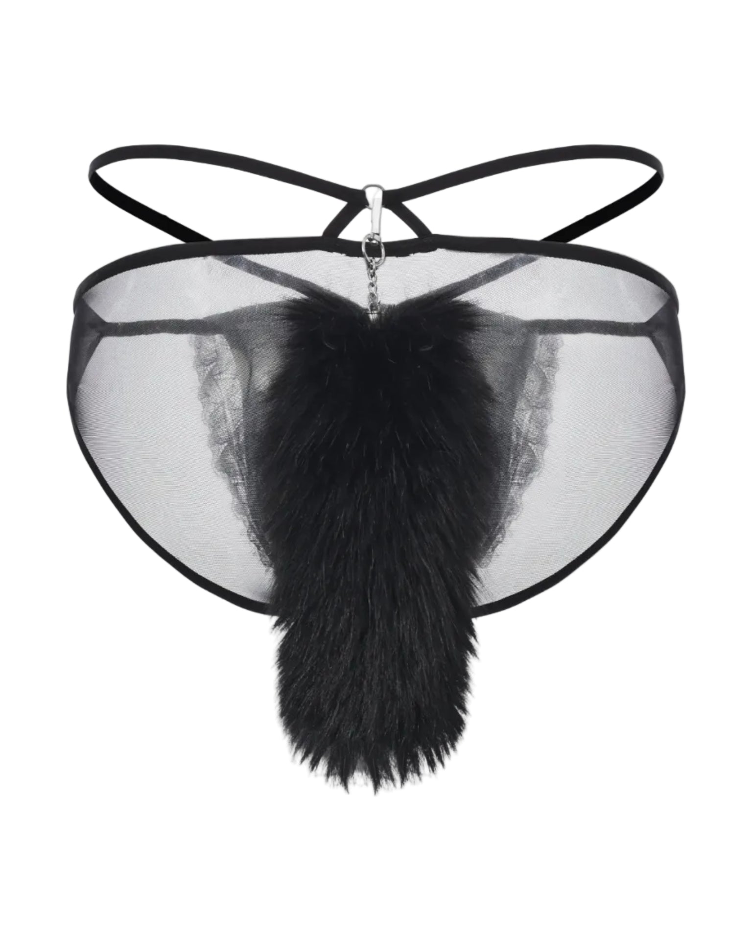 Detachable Tail Lace Brief, alternate product view 2