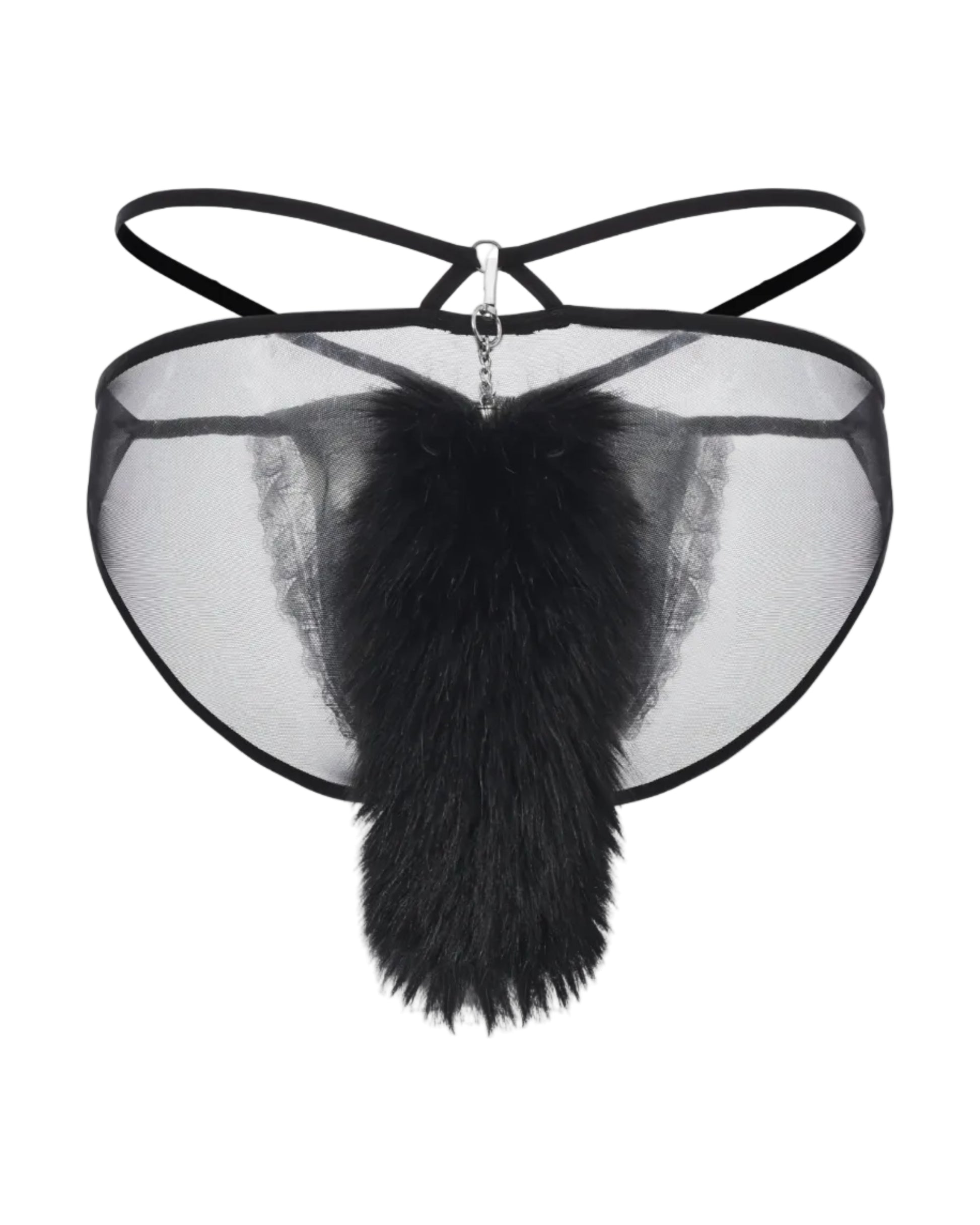 Detachable Tail Lace Brief, alternate product view 2