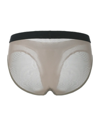 BSZN Disco Flash Metallic Mesh Brief in grey, back view