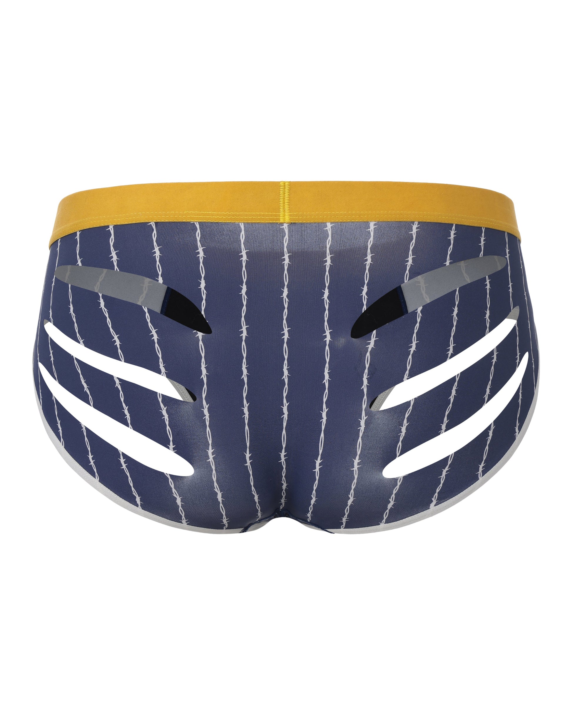 BSZN Thorn-Stripe Slash-Cut Brief, in blue, rear product view