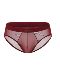 Beast Desire Sheer Mesh Brief - product view 2