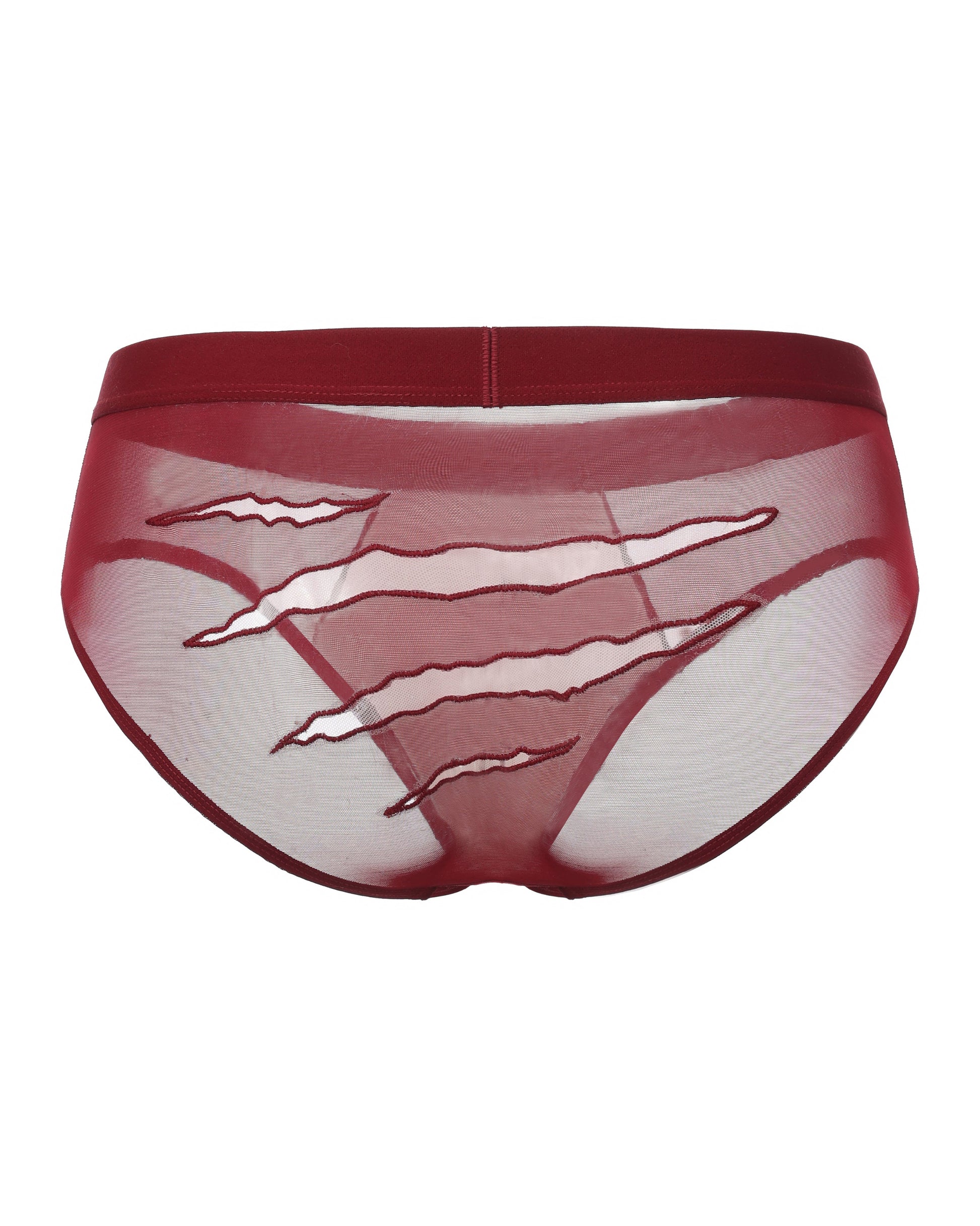 Beast Desire Sheer Mesh Brief - product view 8