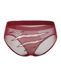 Beast Desire Sheer Mesh Brief - product view 8