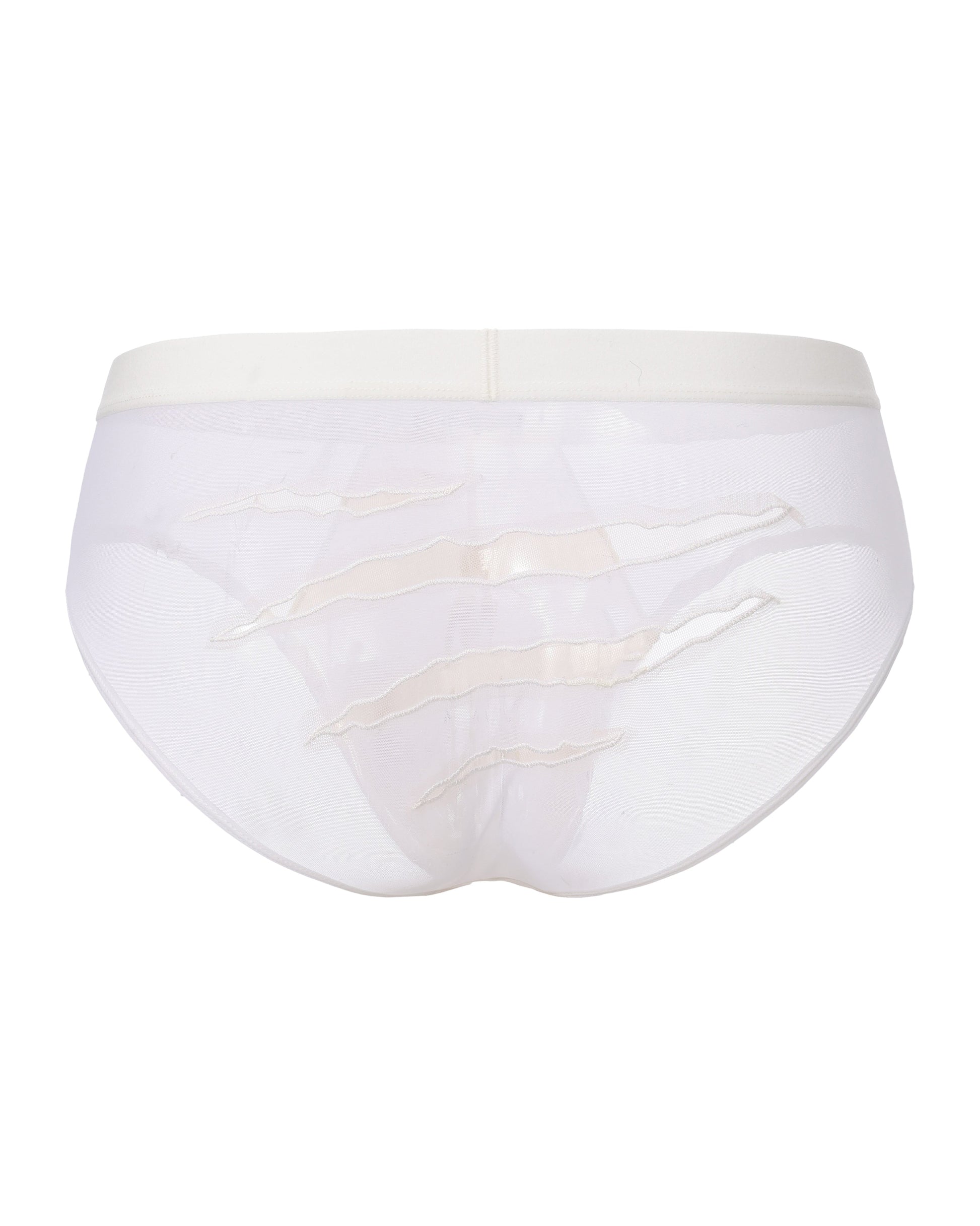 Beast Desire Sheer Mesh Brief - product view 7