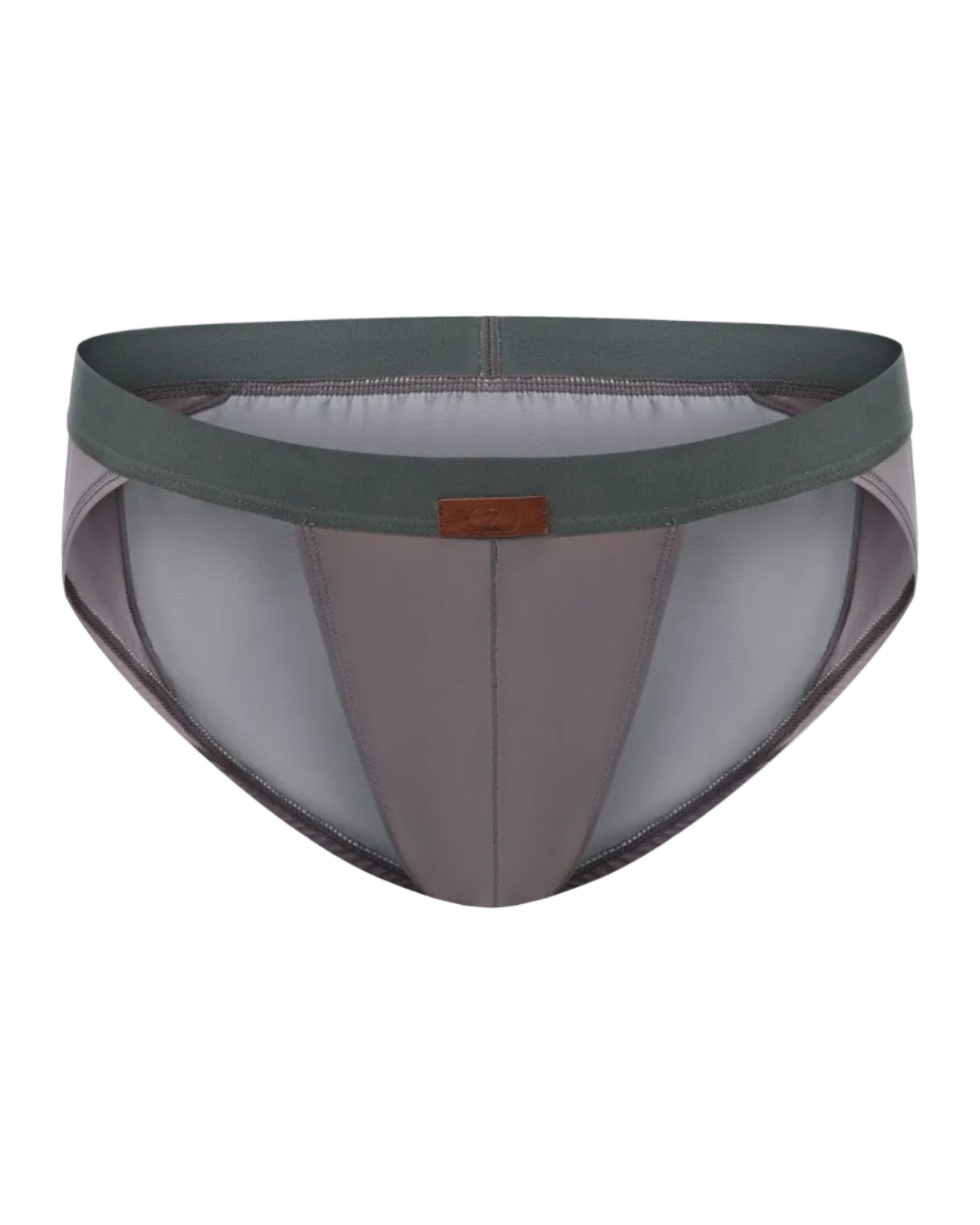 Gradient Mesh Sculpted Brief with tonal gradient
