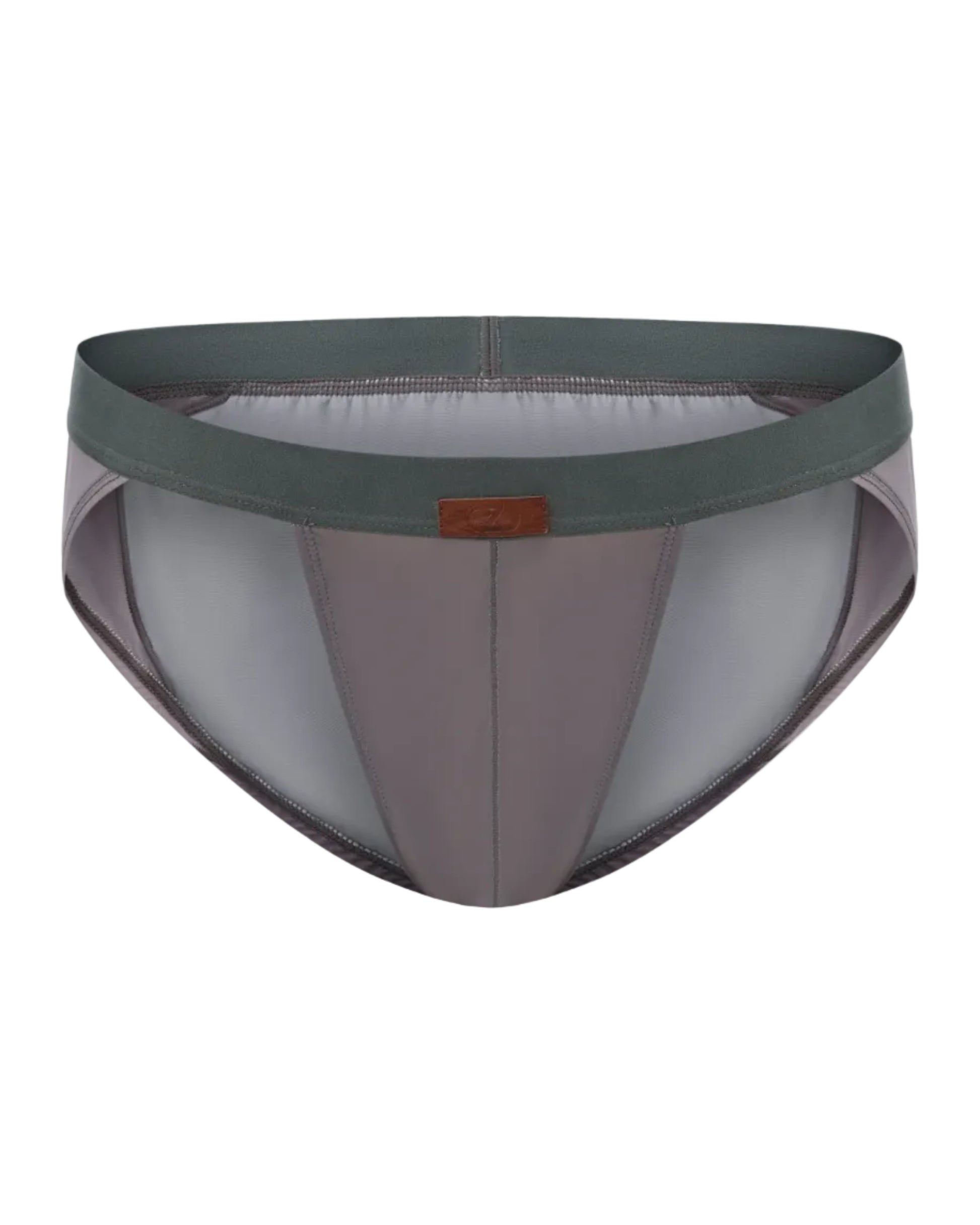 Gradient Mesh Sculpted Brief with tonal gradient