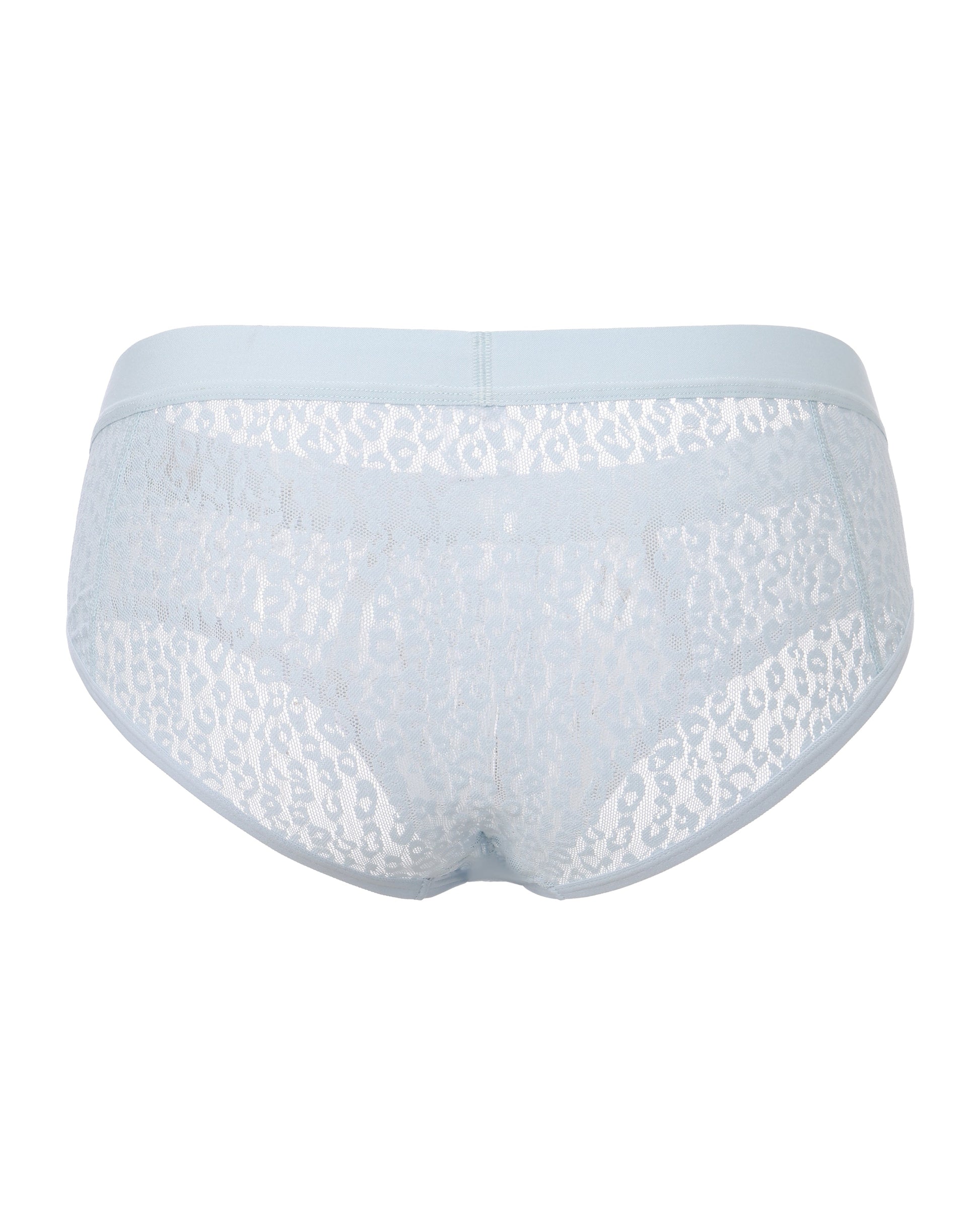 BSZN Sheer Leopard Mesh Brief in pale blue, product rear view