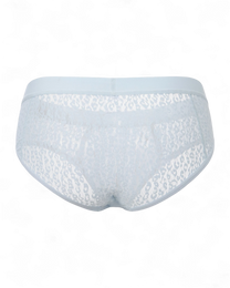 BSZN Sheer Leopard Mesh Brief in pale blue, product rear view