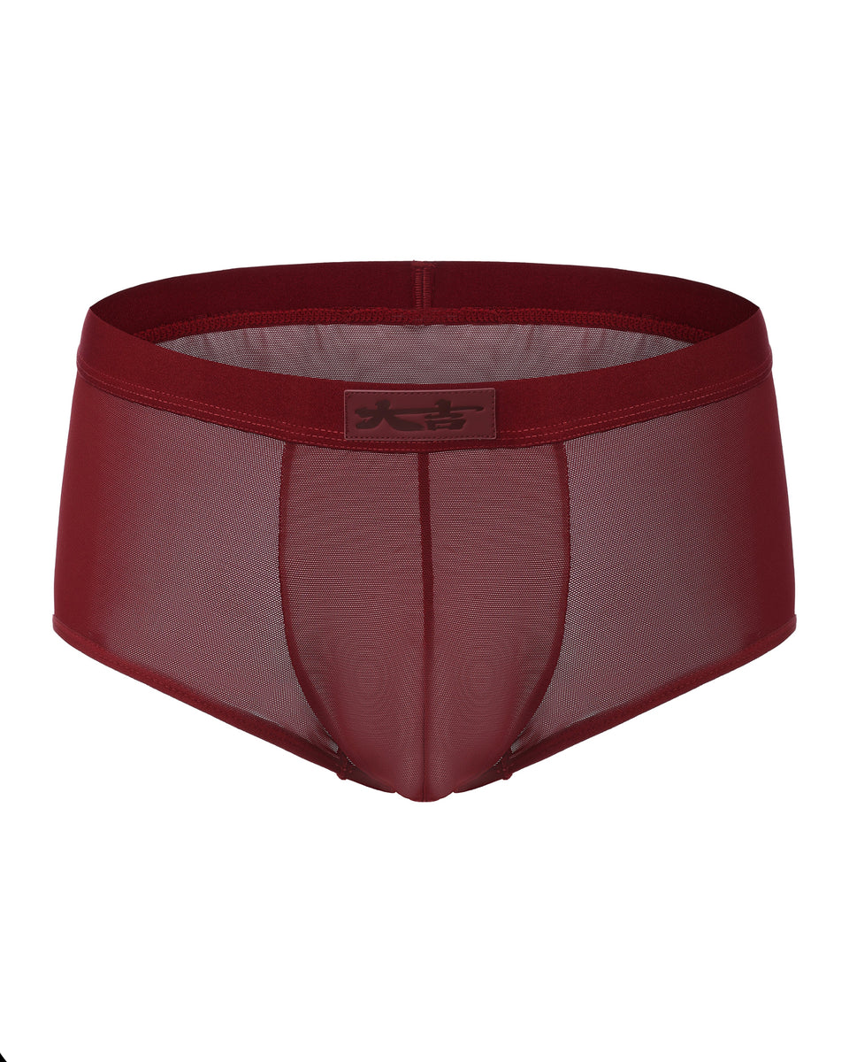 BSZN Good Fortune Sheer Mesh Trunk in deep red, product front view