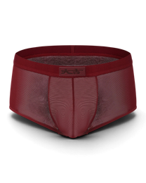 BSZN Good Fortune Sheer Mesh Trunk in deep red, product front view