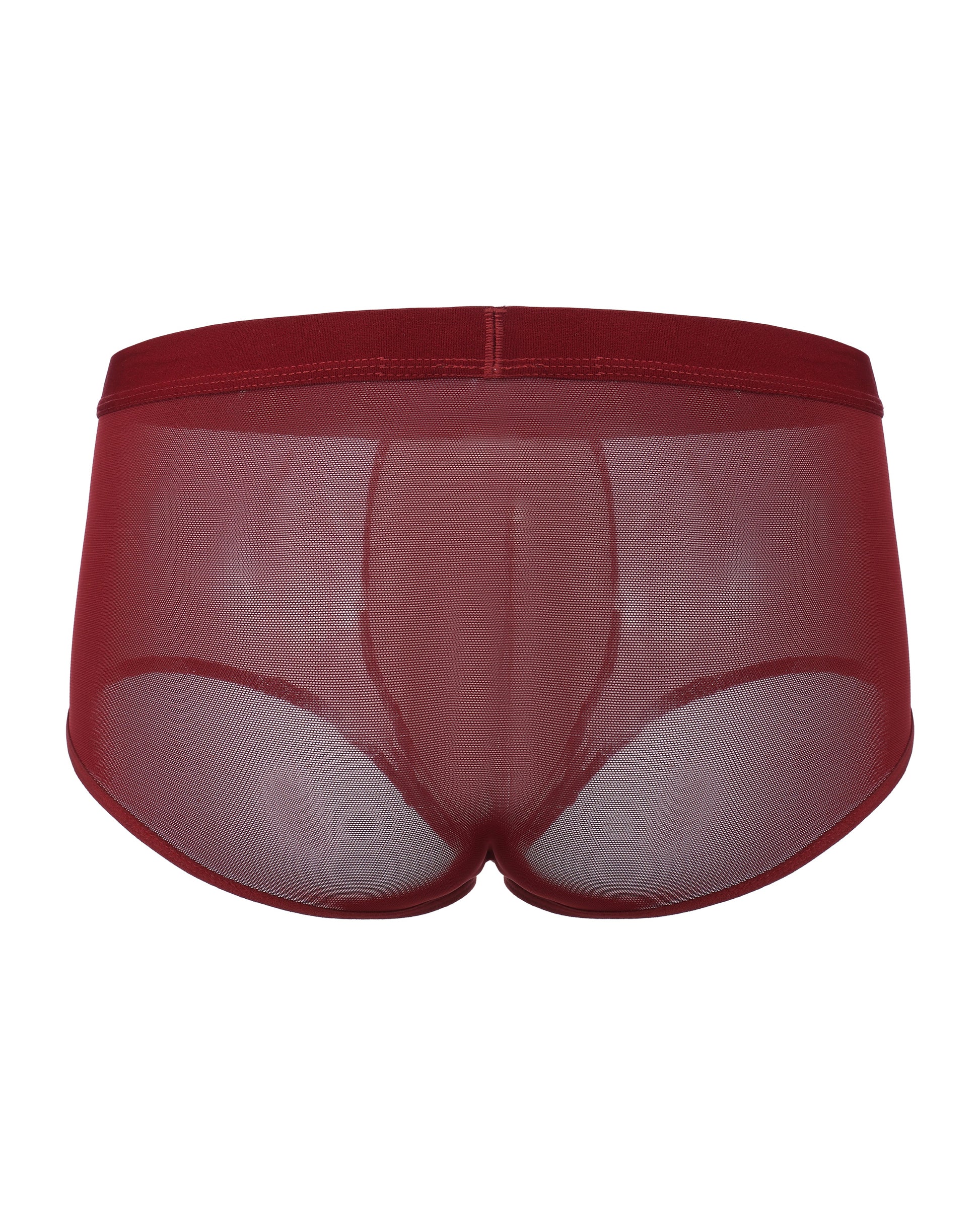 BSZN Good Fortune Sheer Mesh Trunk in deep red, full-coverage product rear view