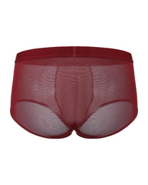 BSZN Good Fortune Sheer Mesh Trunk in deep red, full-coverage product rear view