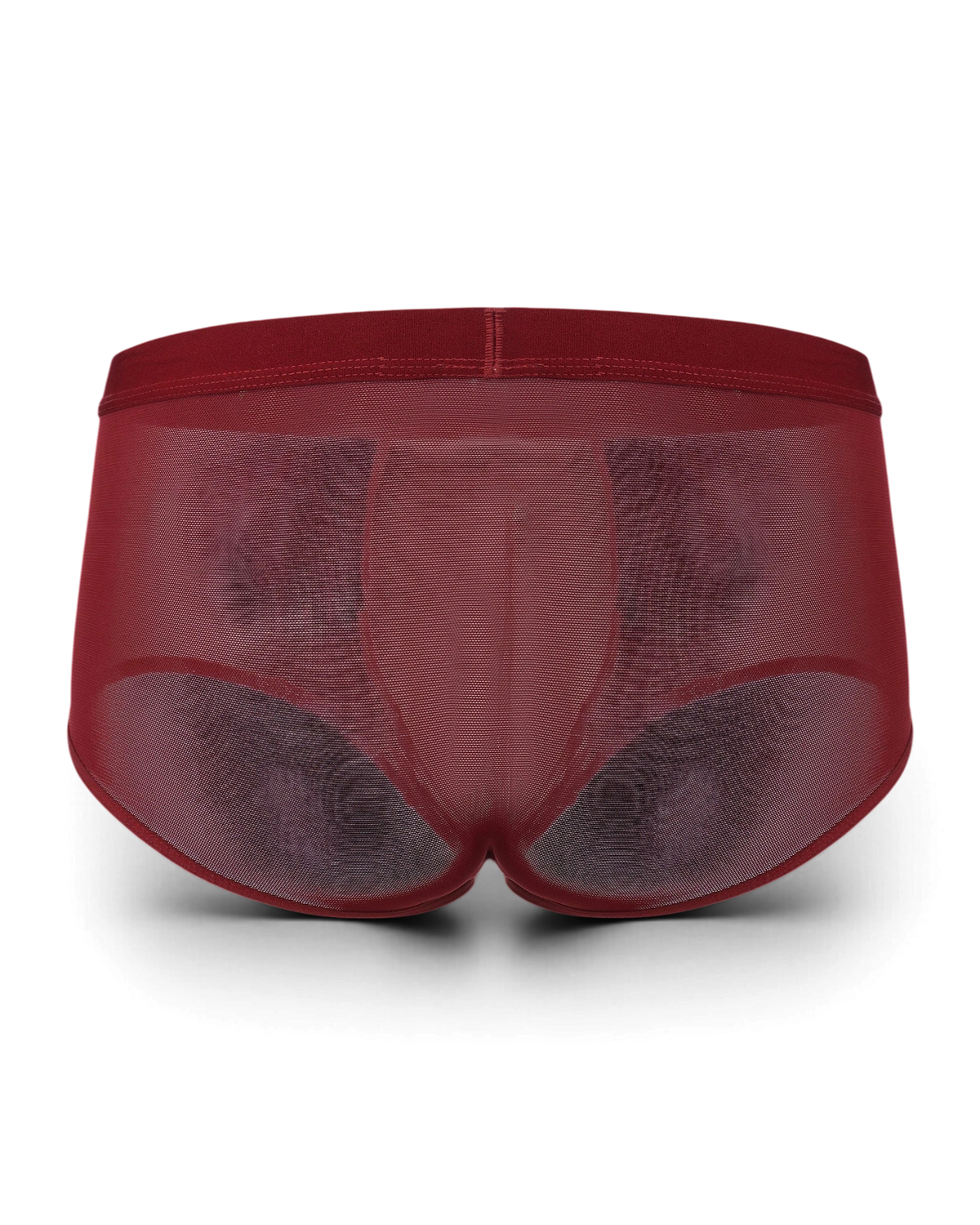BSZN Good Fortune Sheer Mesh Trunk in deep red, full-coverage product rear view