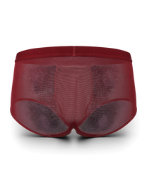 BSZN Good Fortune Sheer Mesh Trunk in deep red, full-coverage product rear view