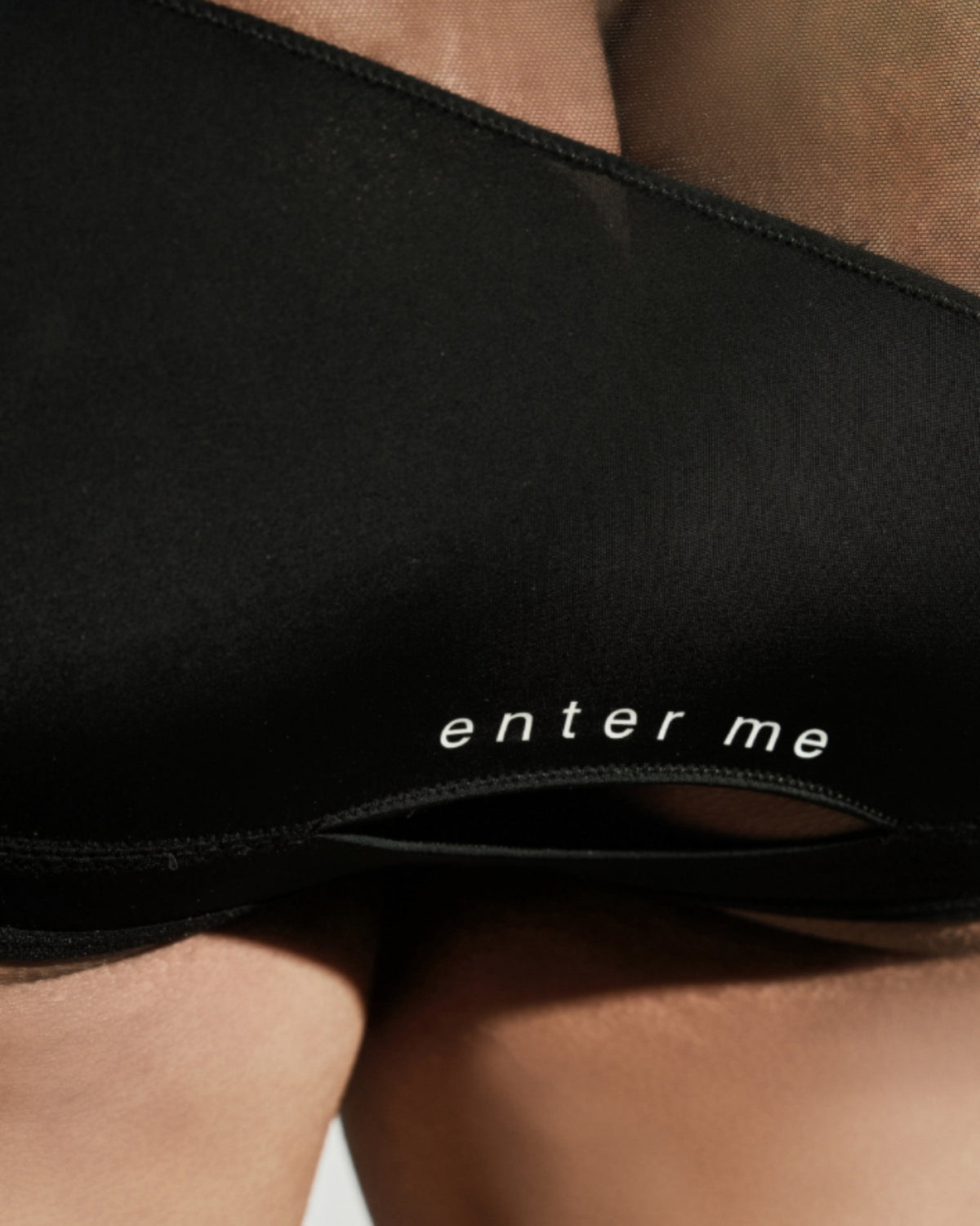 Enter Me Sheer Cutout Brief