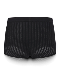 BSZN Bold Gentleman Trunk 采用黑色半透明透气面料，带有垂直条纹纹理和后部塑形接缝设计。