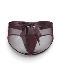 BSZN Satin Scarf Mesh Brief — Purple front with scarf tied at waist.